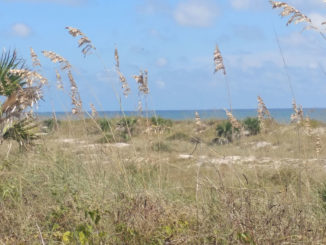 Jacksonville's beaches are reopening - as a model, or warning, to the world