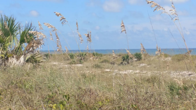 jax-beach-model-or-warning Jacksonville's beaches are reopening - as a model, or warning, to the world